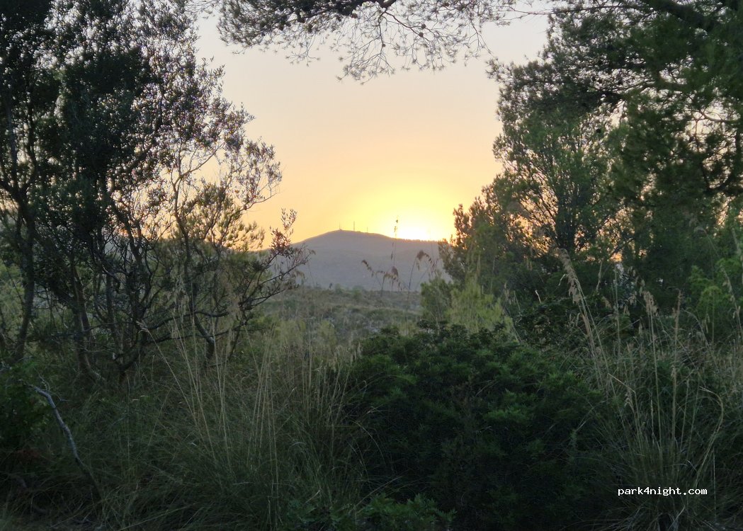 (07579) Artà - Carretera Camide Cala Mitjana — foto