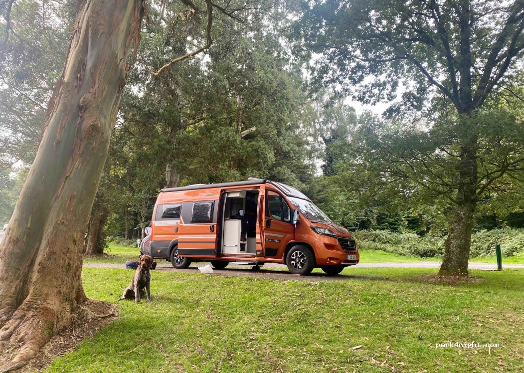 Camping Tollymore Forest Park — foto 3