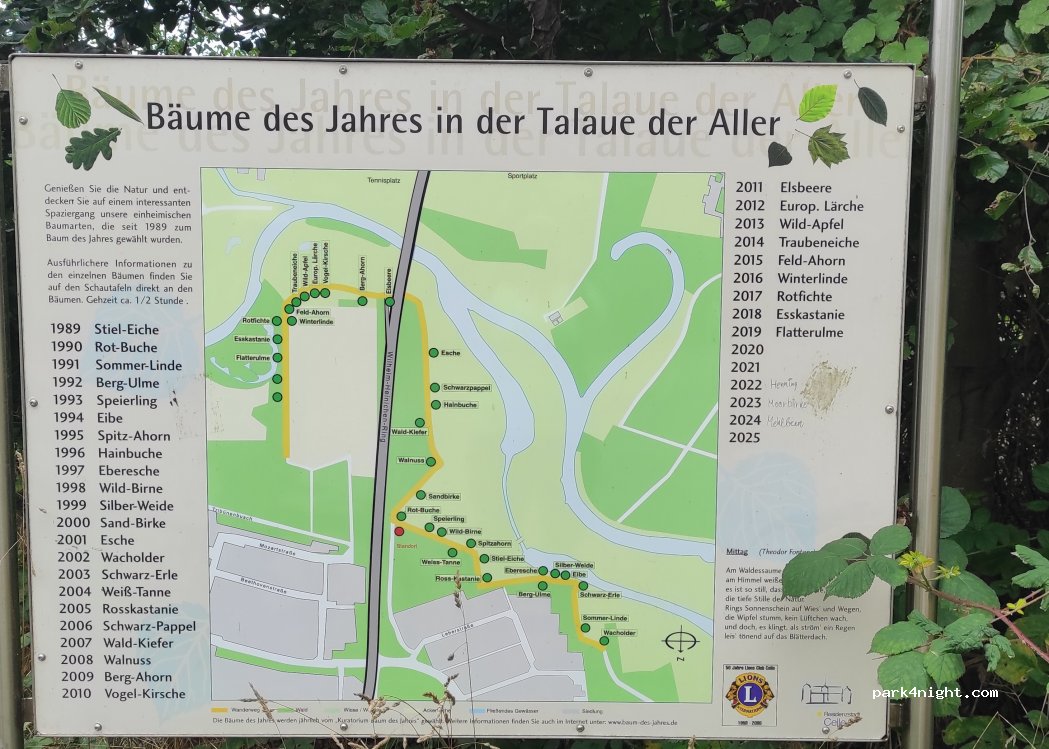 (29223) Celle - Leberstraße — foto 2