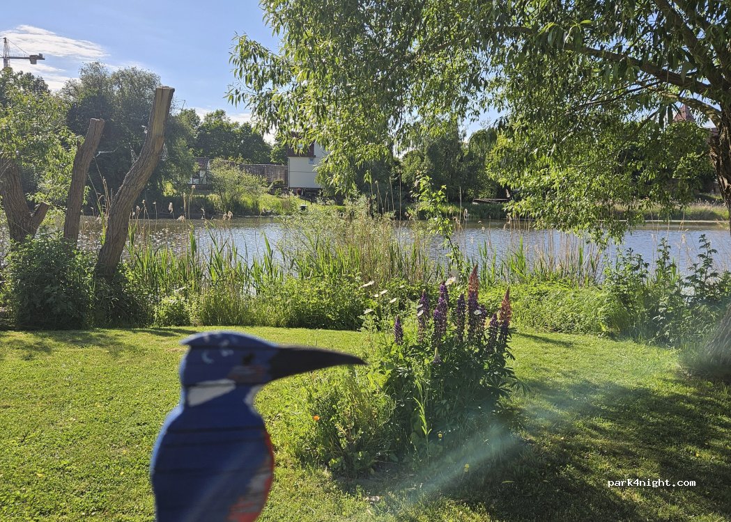 (34302) Guxhagen - Schiffstatt — foto 2