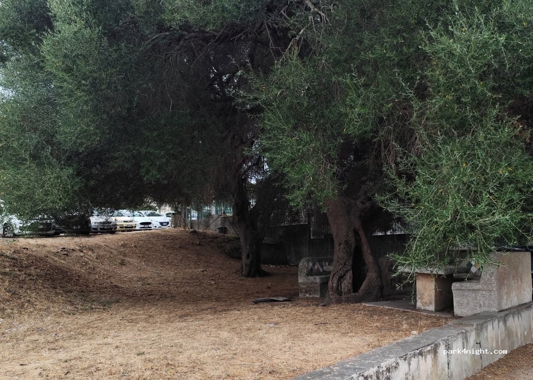 (07021) Alzachèna/Arzachena - Via Raimondo Chiodino — foto