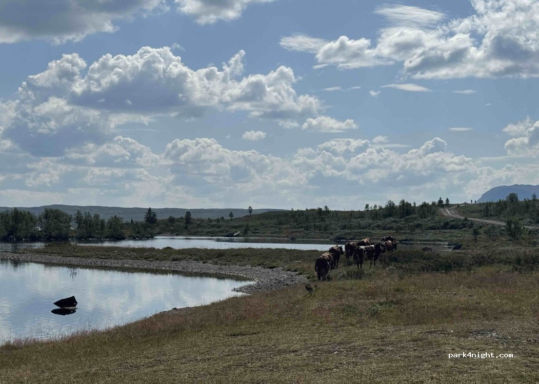 (2973) Ryfoss - Strøsvegen — foto 2