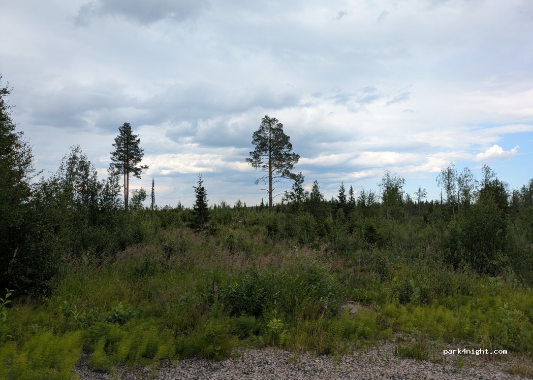 (980 10) Merasjärvi - 395 — foto