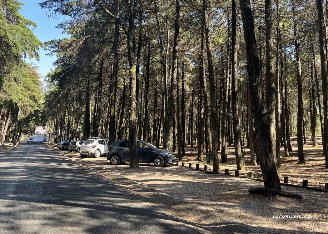 (1070-146 C) Campolide - Rua Padre Domingos Maurício dos Santos — foto 2