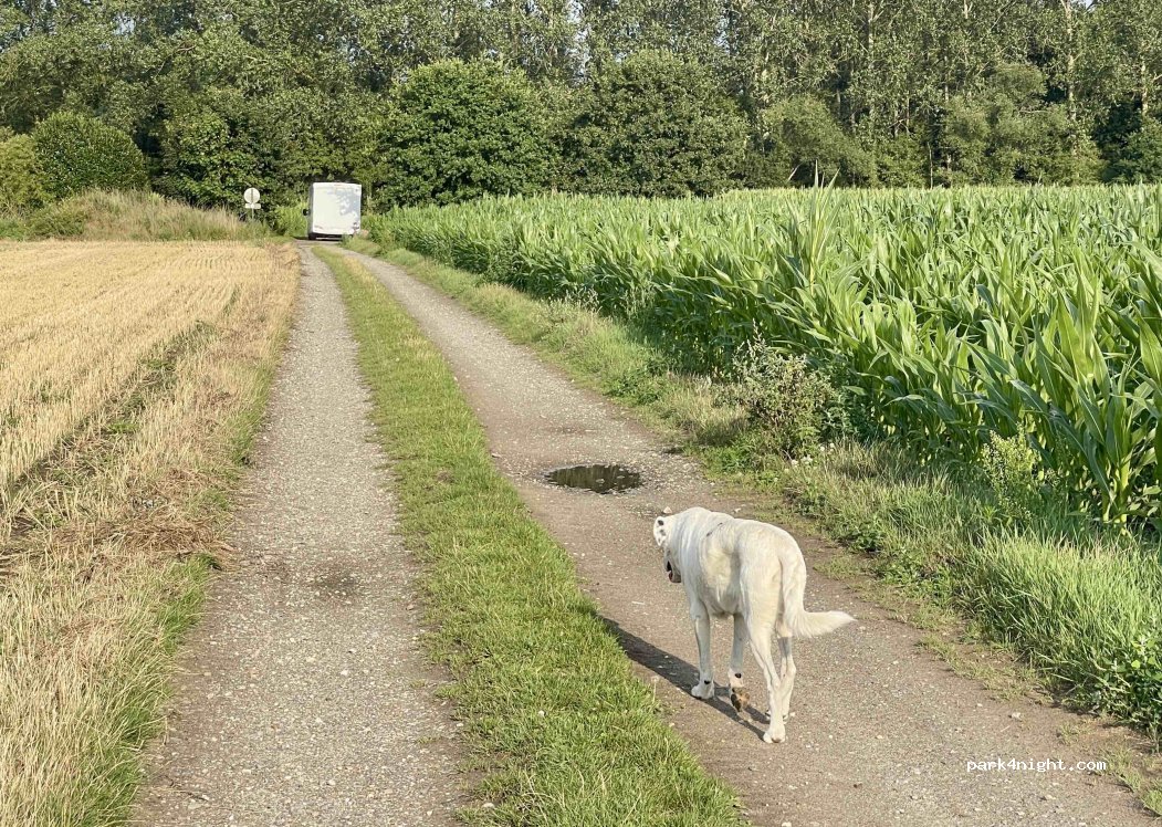 (2880) Hingene - Eikerheide — foto 4