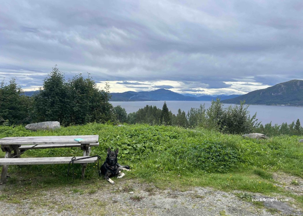 (6590) Comté de Møre og Romsdal - 660 Fylkesveg 370 — foto 4