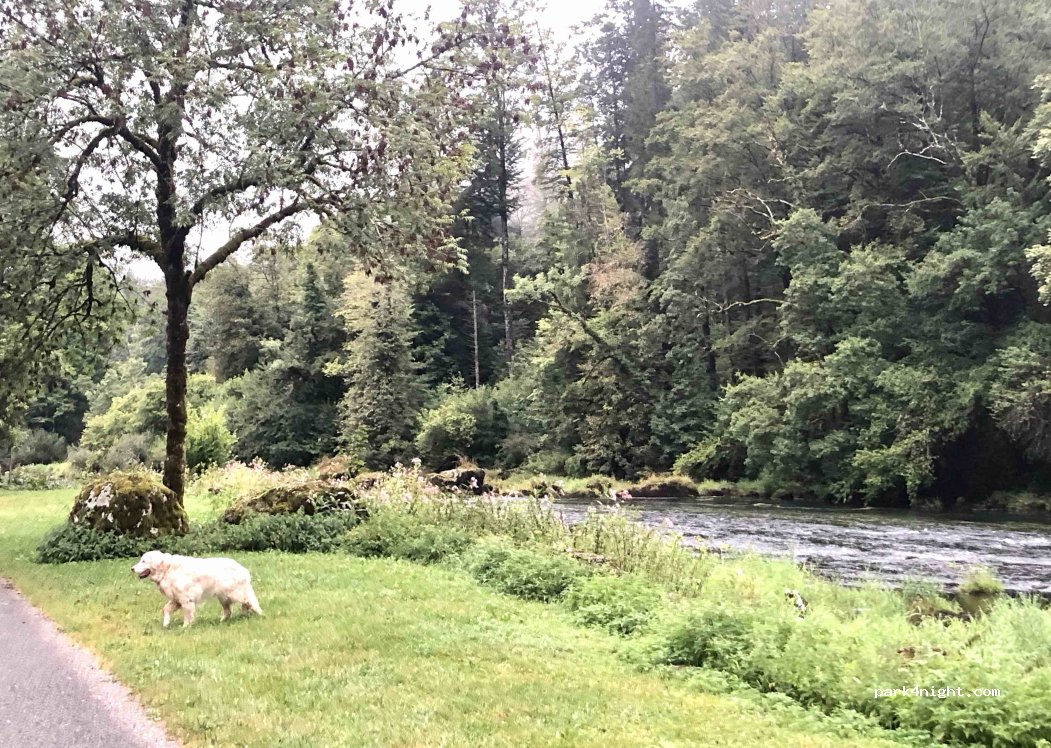 (25470) Goumois - — foto 3