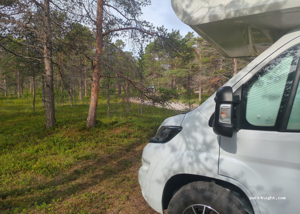 (9517)  - Transfarelvmoen — foto