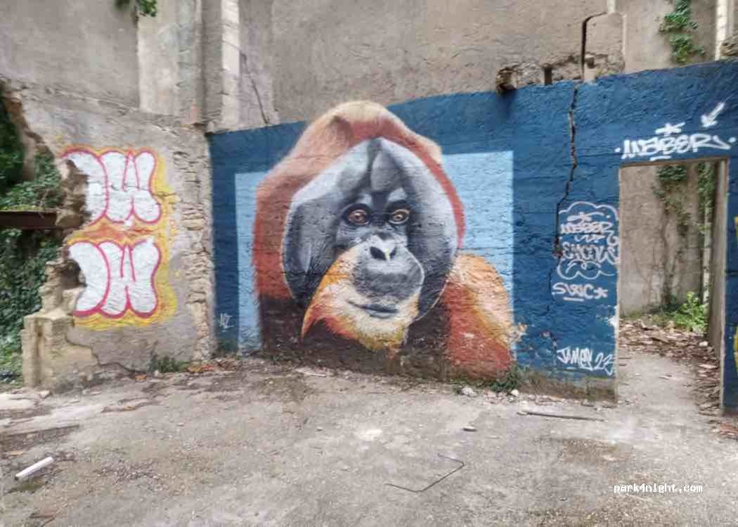geoSPOT — foto 2