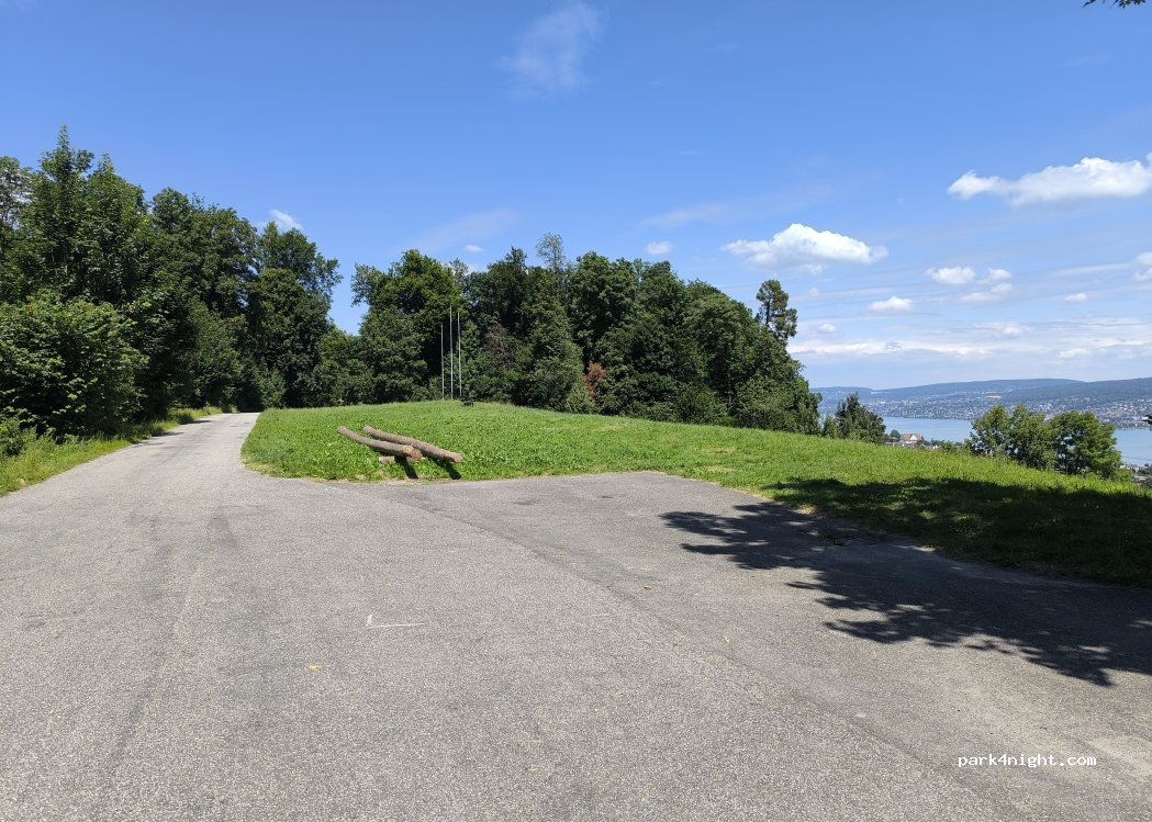 (8942) Oberrieden - Neuforststrasse — foto 2