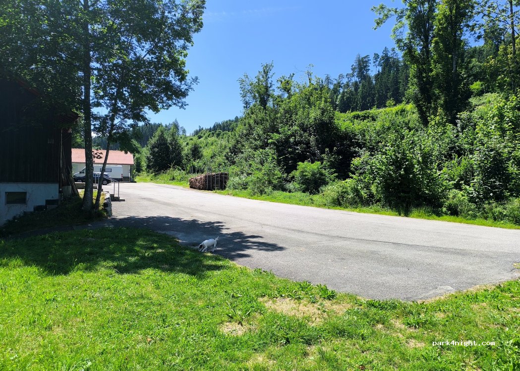 (8942) Oberrieden - Neuforststrasse — foto 4