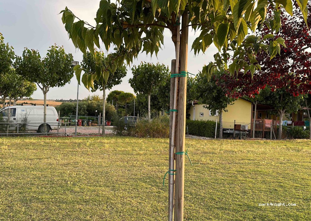 Agricampeggio Filippetti Nando — foto 4