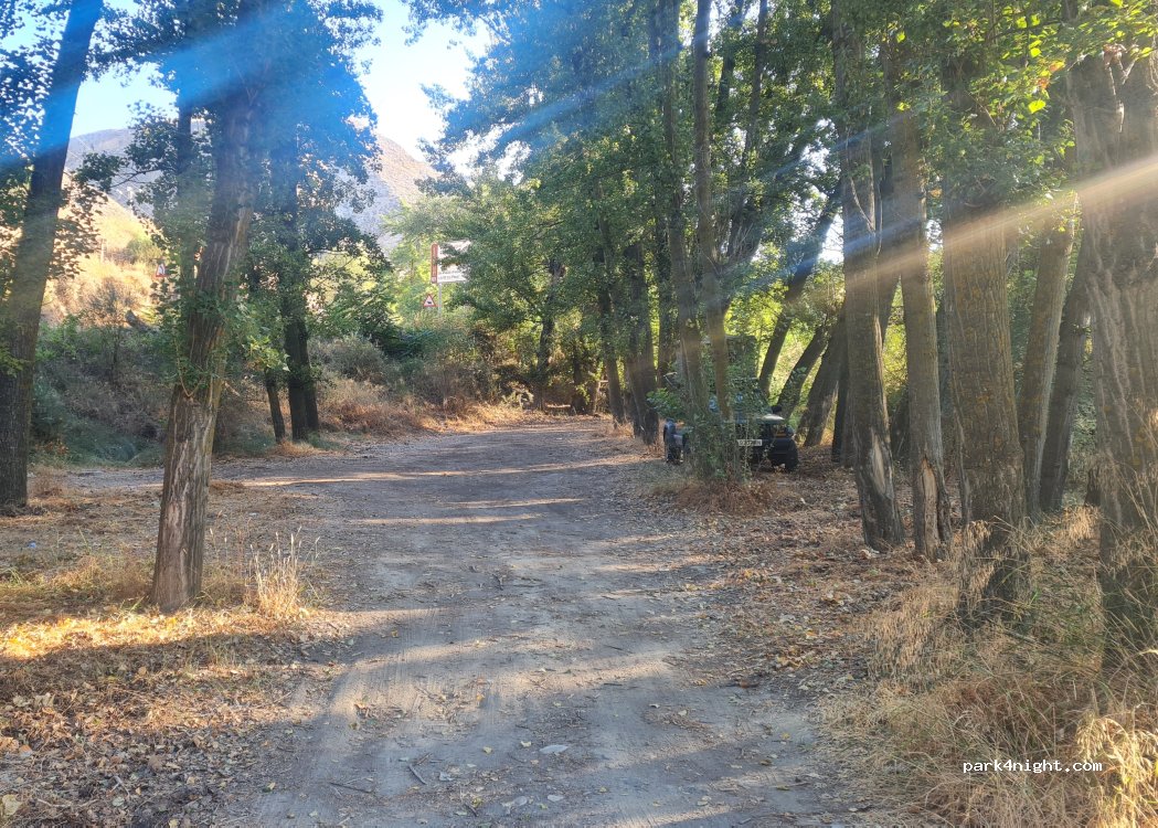 (18191) Pinos Genil - Carretera de Cenes de la Vega a Canales — foto