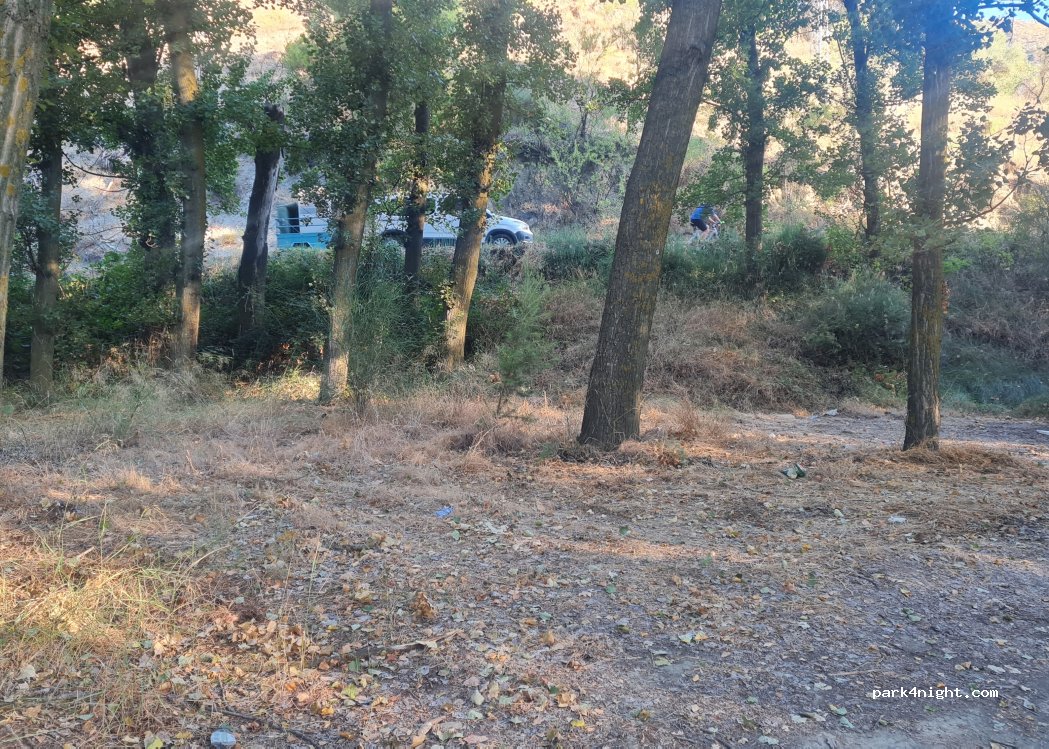 (18191) Pinos Genil - Carretera de Cenes de la Vega a Canales — foto 2