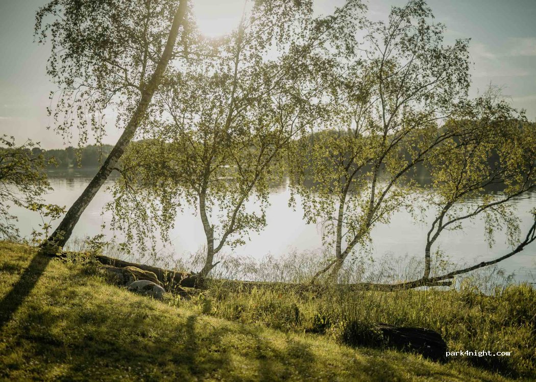 (LV-5113) Staburags - Tenči - Daudzeva - Lāči - Vīgante - Zilkalne — foto 2