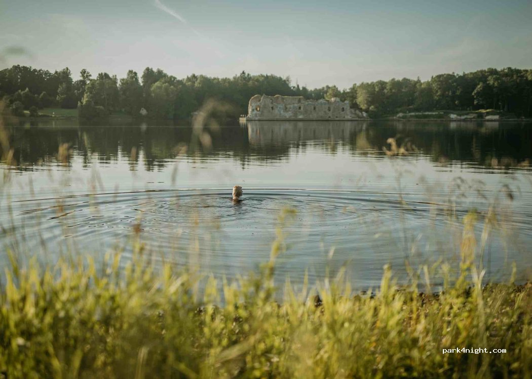 (LV-5113) Staburags - Tenči - Daudzeva - Lāči - Vīgante - Zilkalne — foto 3