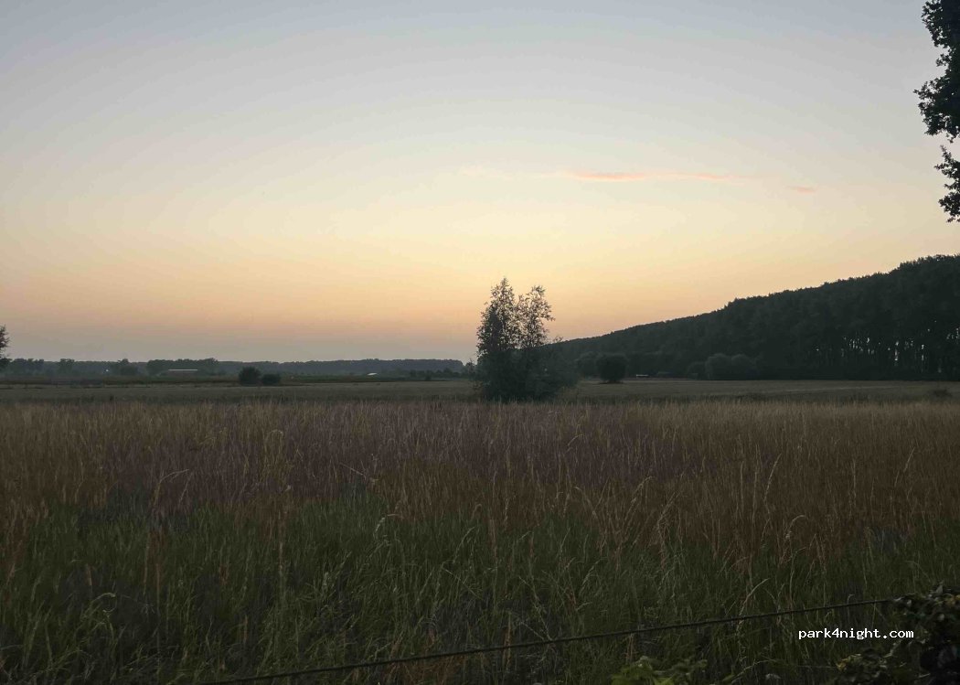 (8340) Damme - Zuiddijk — foto 2