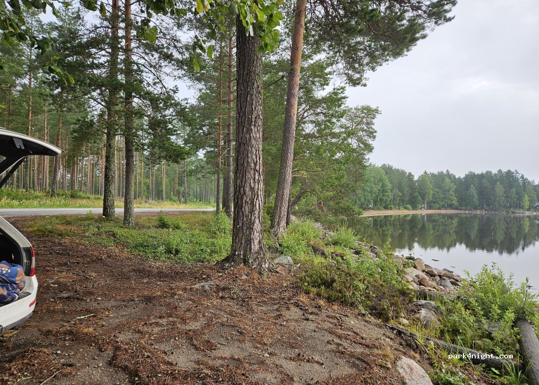 (82060) Bjuråker - X 743 — foto 3