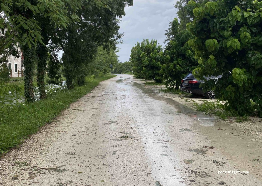 (33079) Sesto al Reghena - — foto