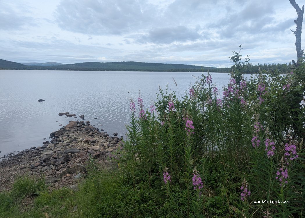 (982 05) Puoltikasvaara - — foto 3