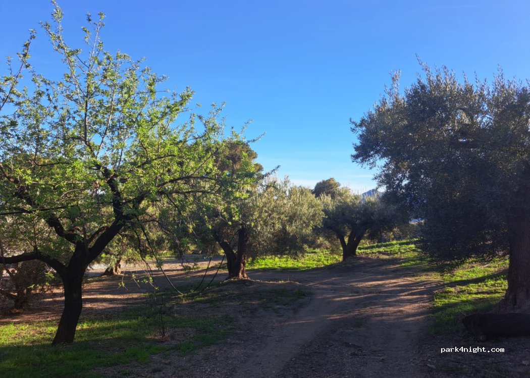 Tropical Family Farm — foto 2