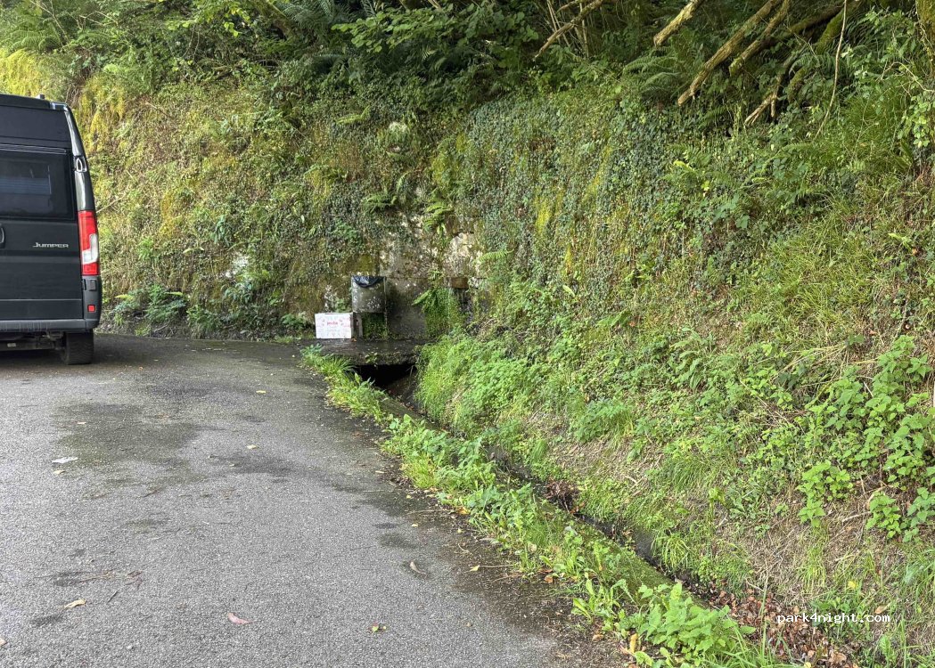 (33556) Onís - Carretera Cangas de Onís - Panes — foto 2