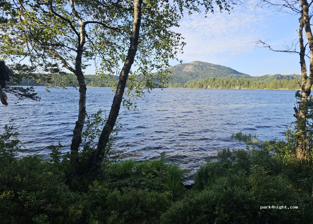 (4480) Kvinlog - Fjotlandsvegen — foto