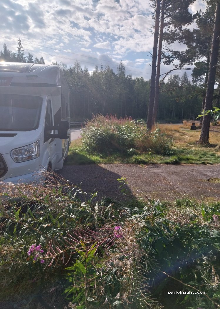 (2478) Hanestad - 10 Riksvei 3 — foto 5