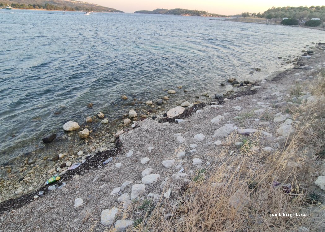 (35980) Dikili - Bademli Pissa Sokak — foto