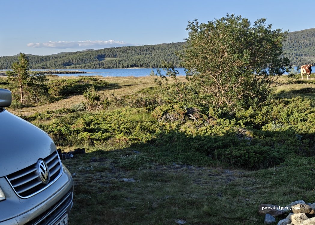 (2685) Garmo - Smørlivegen — foto
