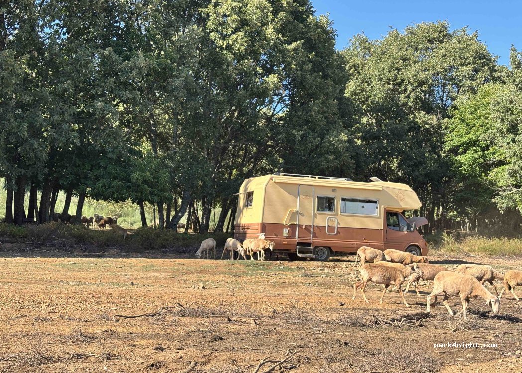 (6320-056) Aldeia de Santo António e Sabugal - — foto