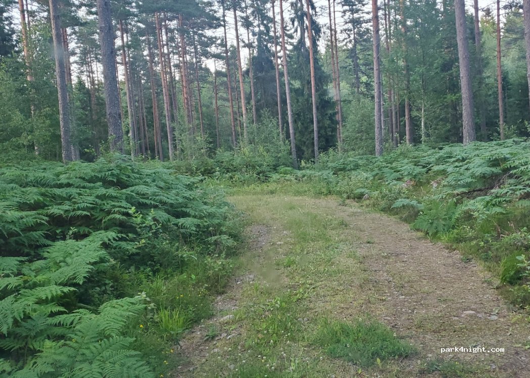 (56591) Mullsjö - 1785 — foto