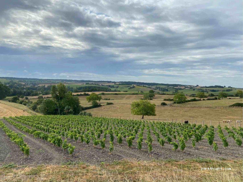 Domaine des Grandes Jouberteries — foto 2