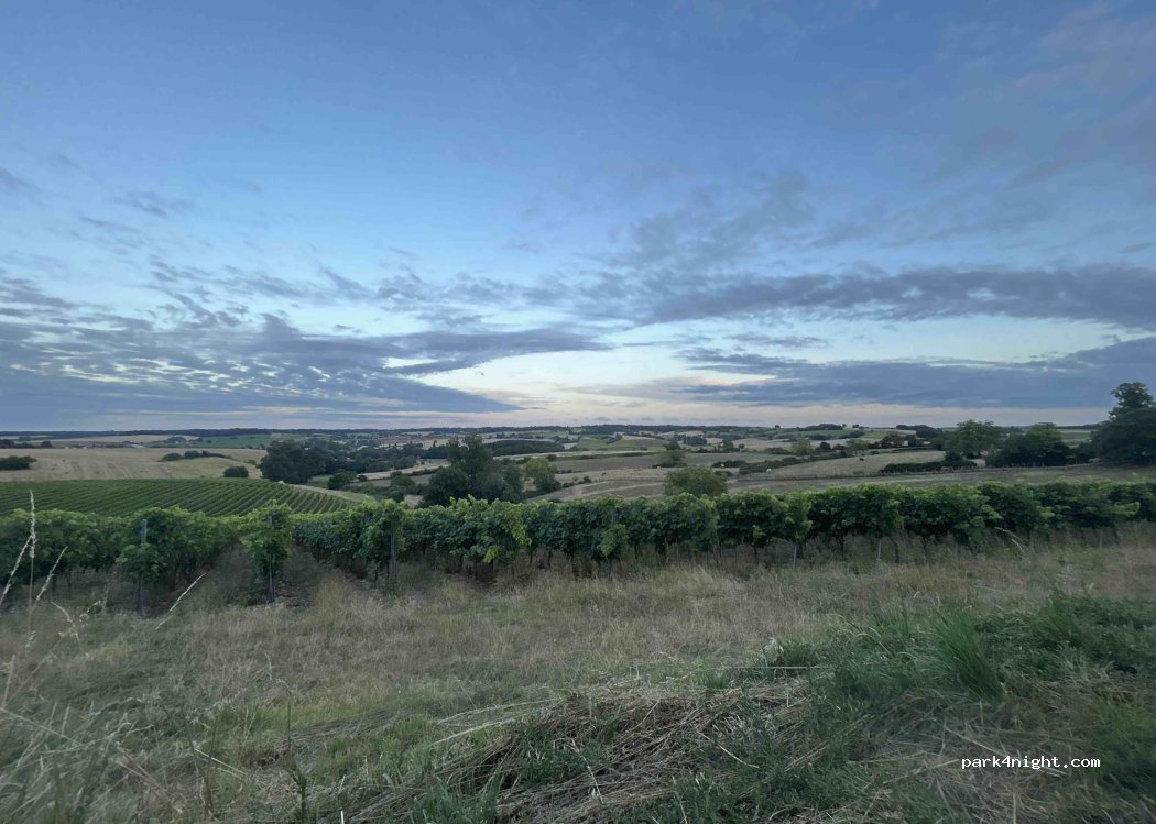 Domaine des Grandes Jouberteries — foto 5