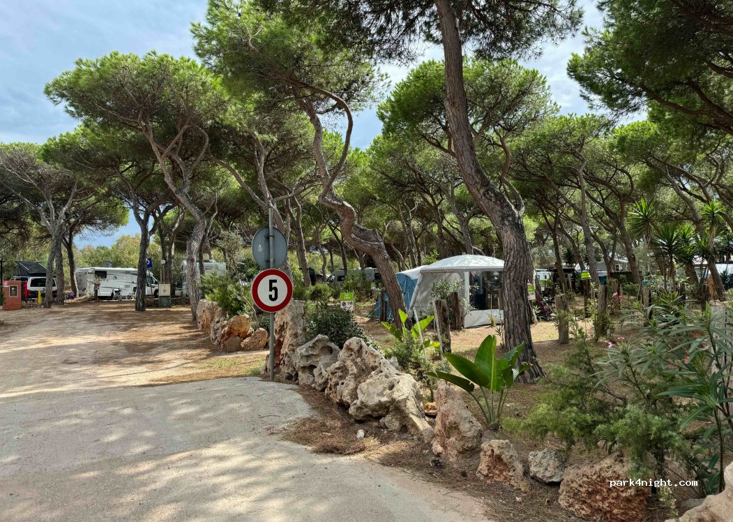 Camping Torre del Porticciolo — foto 4
