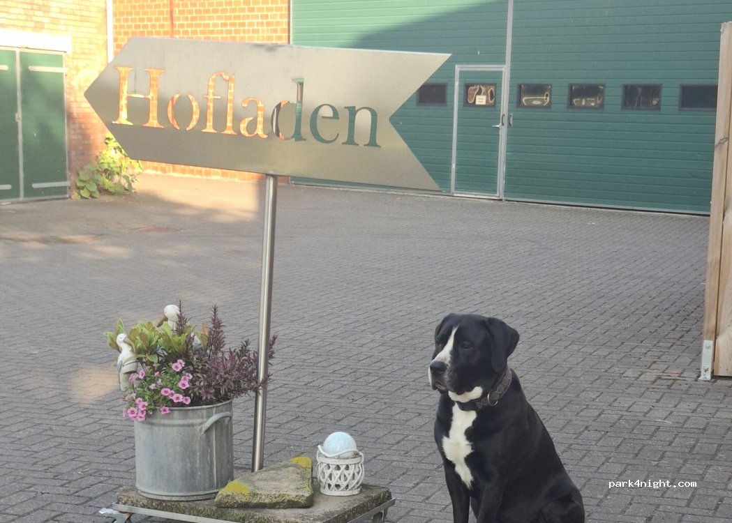 (46414) Rhede - Spielberg 1 — foto 3