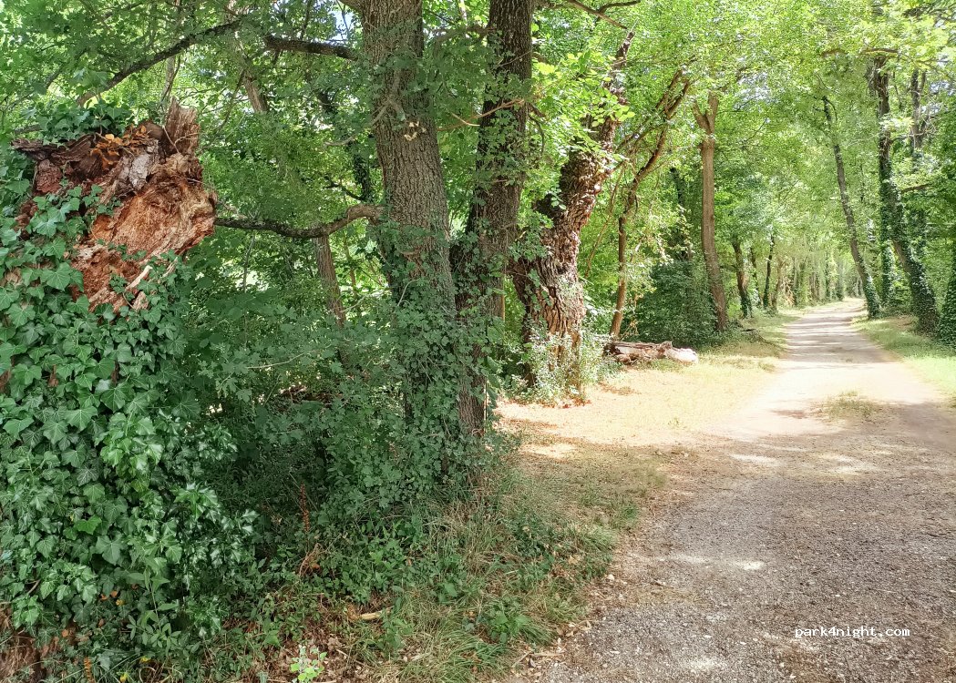 (26170) Mollans-sur-Ouvèze - D 5 — foto 4