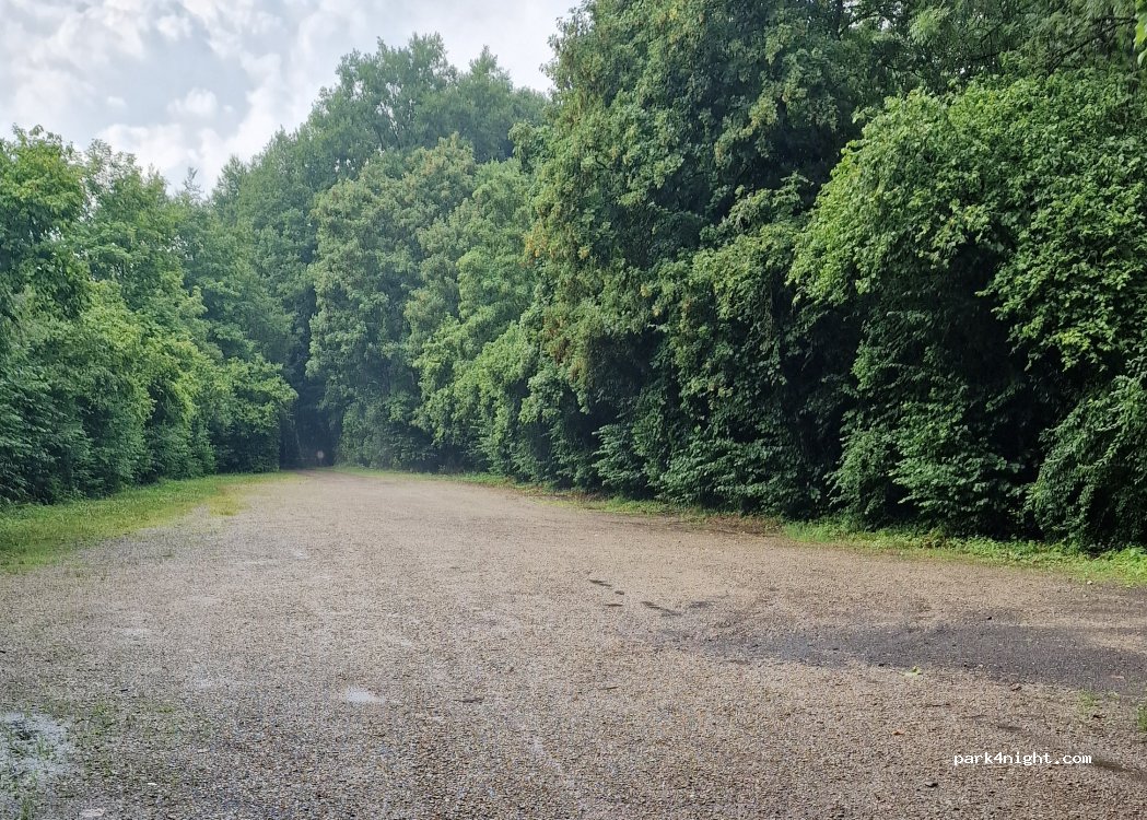 (54636) Wiersdorf - K 71 — foto