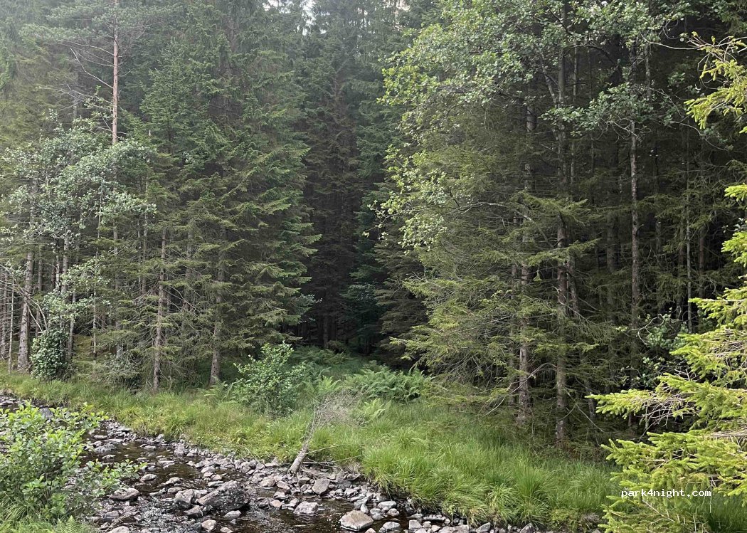 (4235) Hebnes - Indre Ryfylkevegen — foto