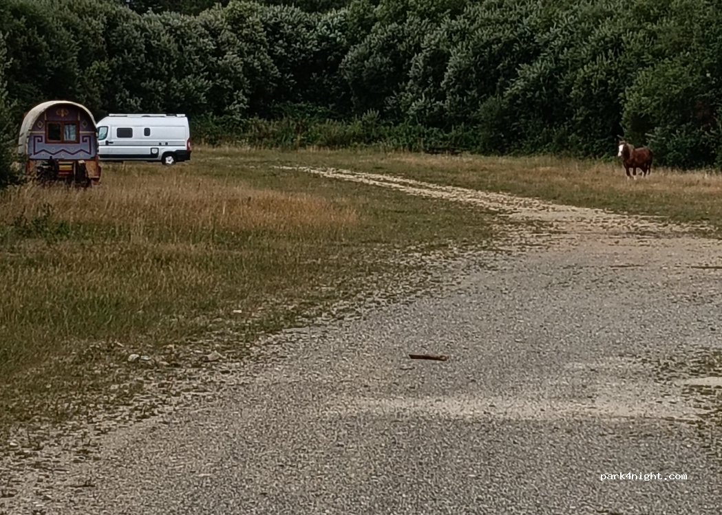 (29640) Plougonven - Voie Verte Morlaix-Carhaix — foto 2