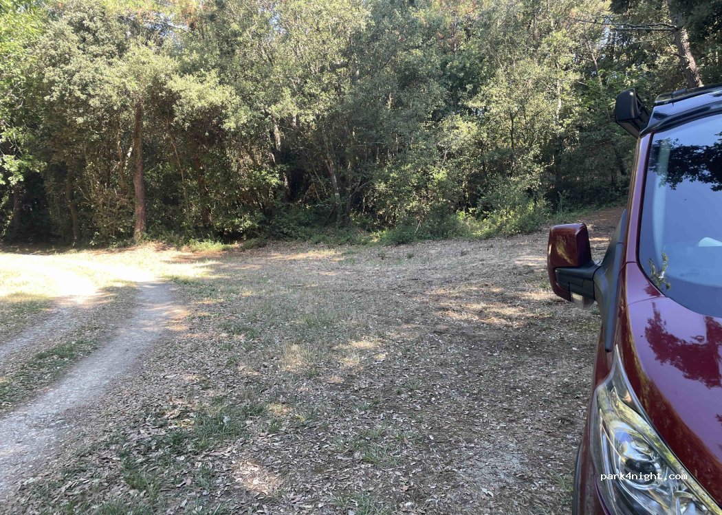 (85560) Longeville-sur-Mer - — foto