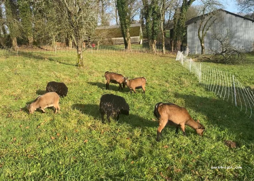 la ferme aux étoiles — foto 3