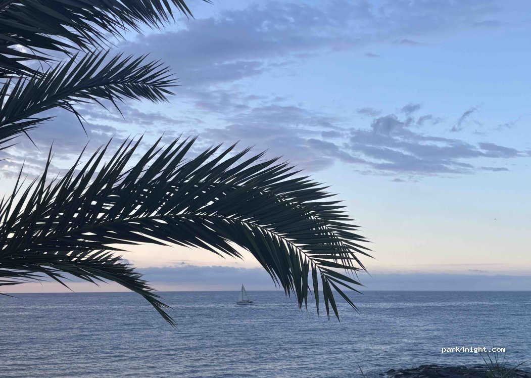 (18017) San Lorenzo al Mare - Aurelia — foto