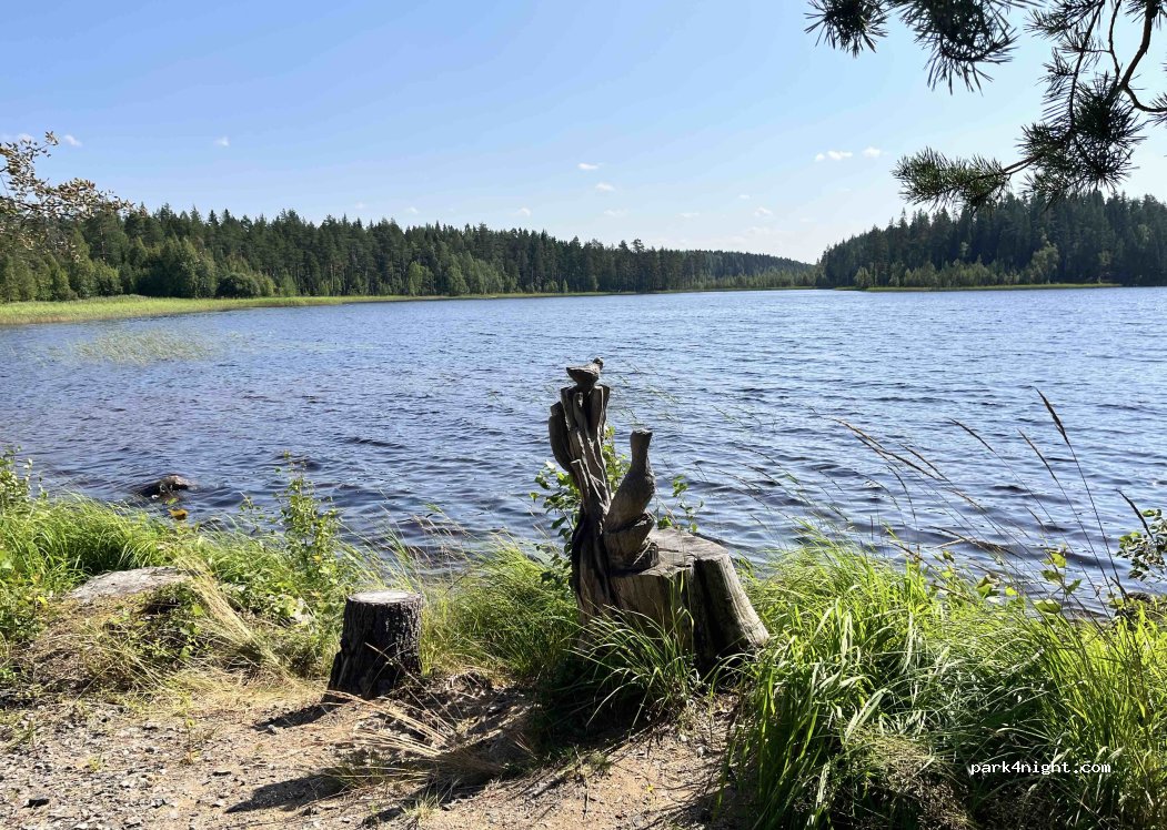 (82760) Tohmajärvi - Hoilolantie — foto 2