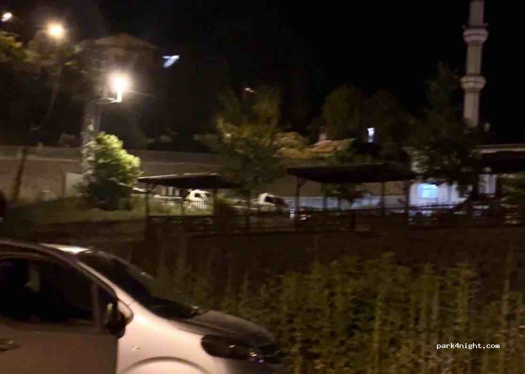 (08700) Şavşat - Cumhuriyet Caddesi — foto