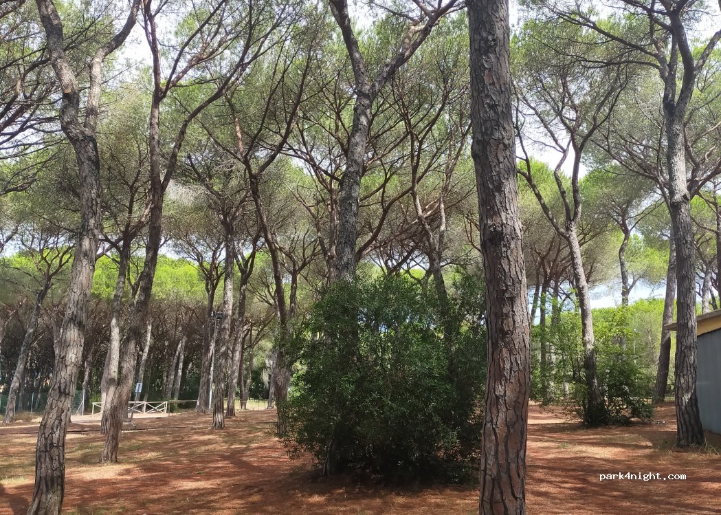 (58075) Piombino - Strada Provinciale 21 Cafaggio - Riotorto — foto