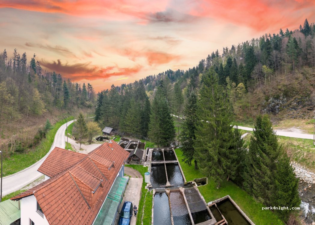 Stara ribogojnica & Pohorska postrv — foto 2