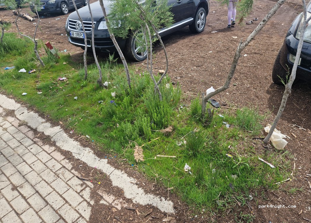 (9022) Divjakë - Unnamed Road — foto 2
