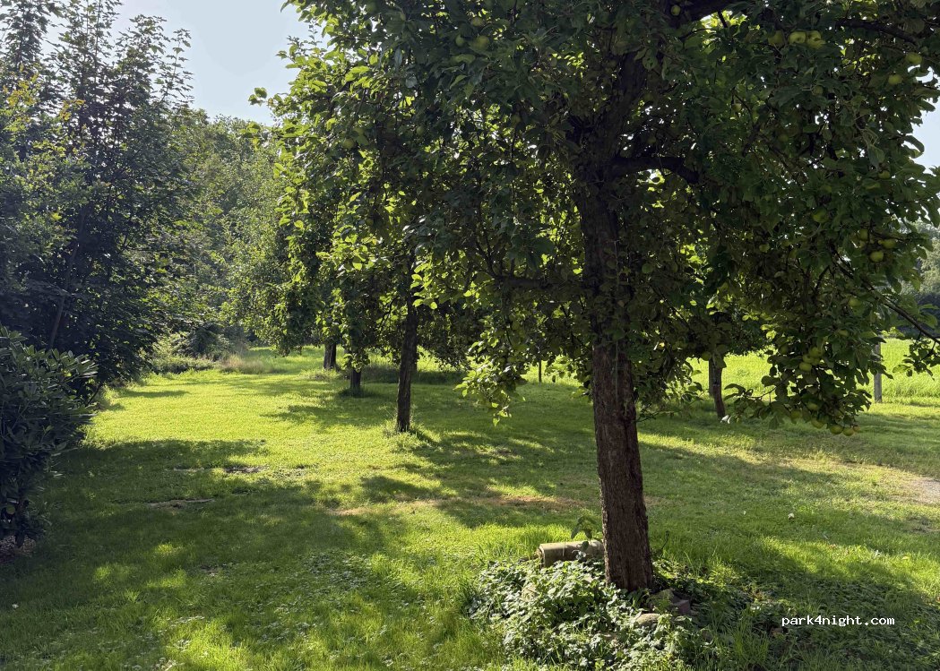 (25485) Hemdingen - Breedenmoor — foto 2