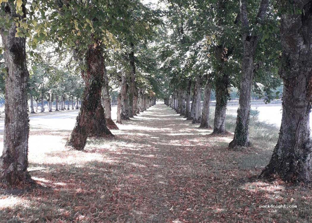 (28340) La Ferté-Vidame - D24 — foto 4